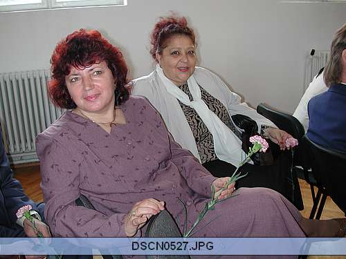 DSCN0527.JPG